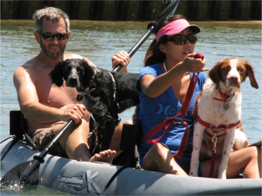 dogs and kayaks